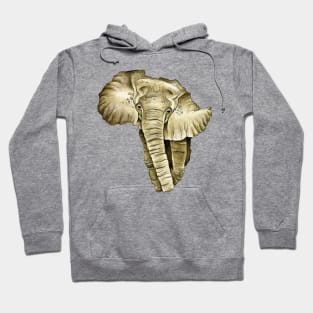 African Continent Hoodie